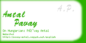 antal pavay business card